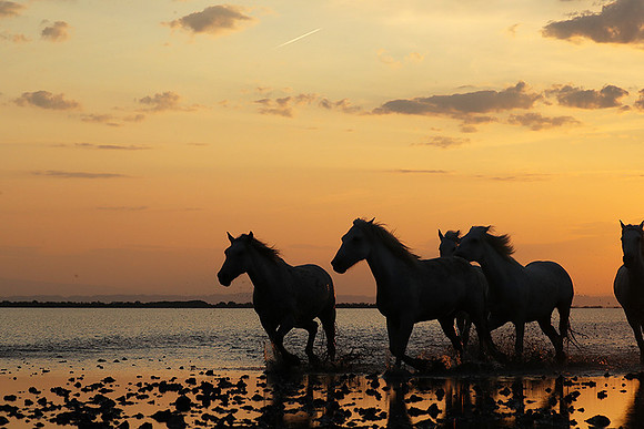 Sunrise - Camargue
