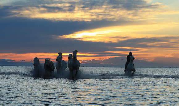 Sunrise - Camargue