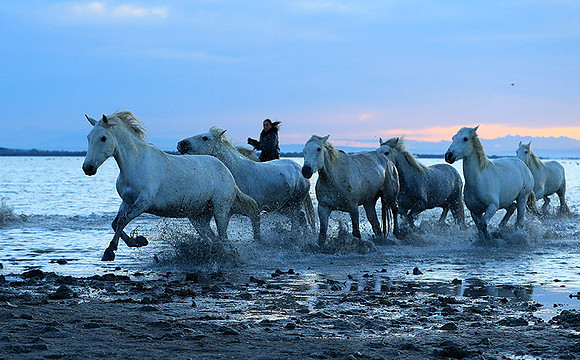 Sunrise - Camargue