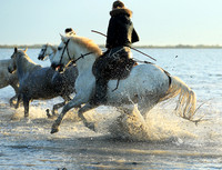 Sunrise - Camargue