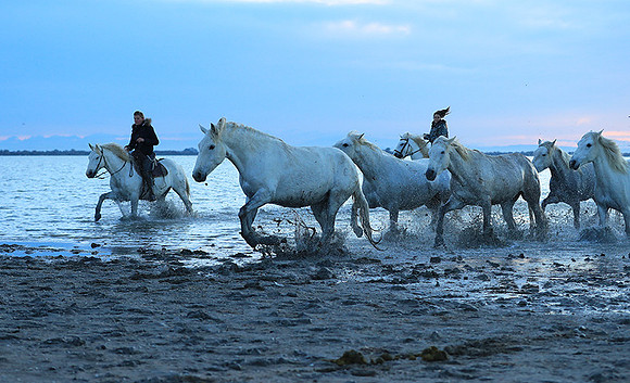 Sunrise - Camargue
