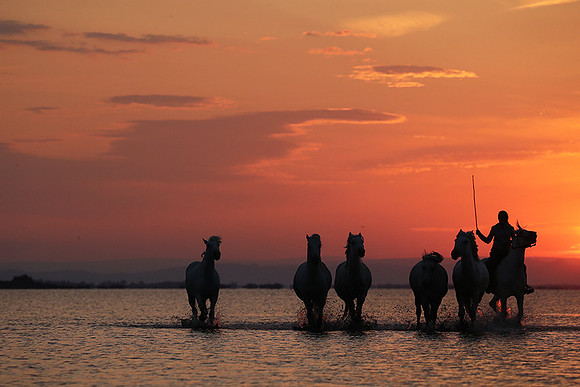 Sunrise - Camargue