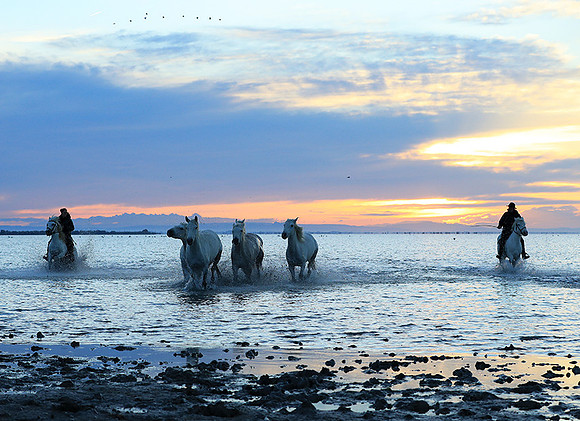 Sunrise - Camargue