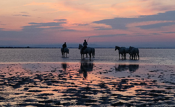 Sunrise - Camargue
