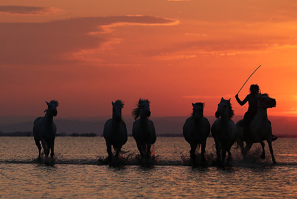 Sunrise - Camargue