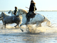 Sunrise - Camargue