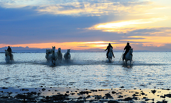 Sunrise - Camargue