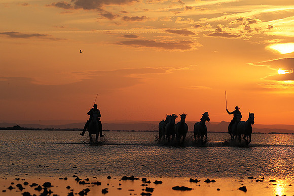 Sunrise - Camargue