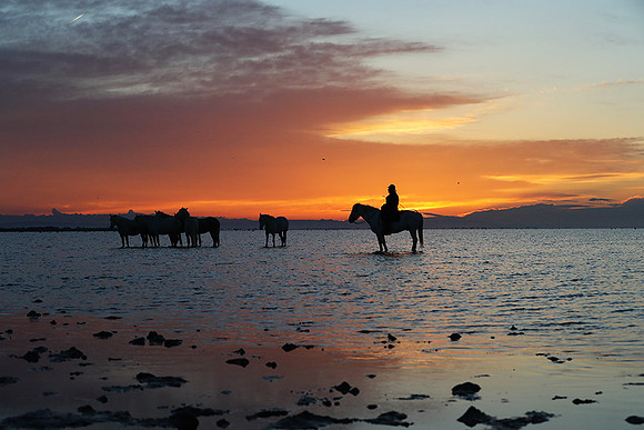 Camargue