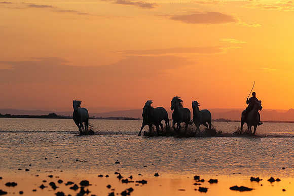 Sunrise - Camargue