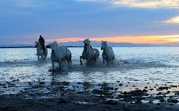 Sunrise - Camargue