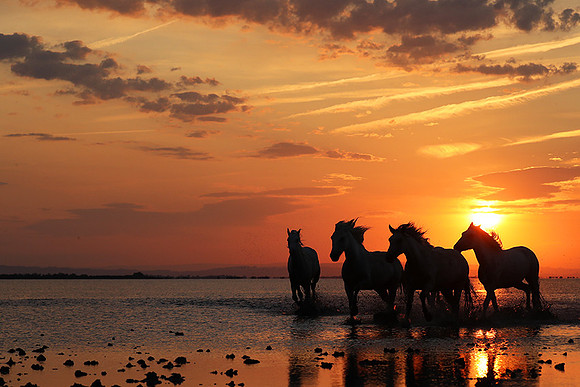 Sunrise - Camargue