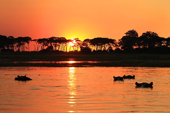 sunset - Kafue National Park