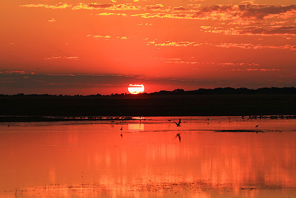 Sunset - Liuwa Plain NP