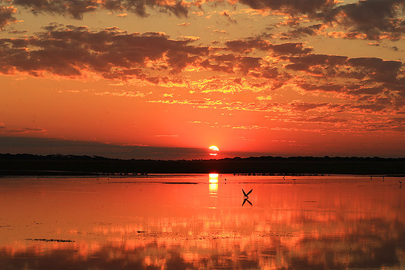 Sunset - Liuwa plain NP