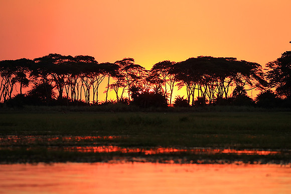 sunset - Kafue National Park