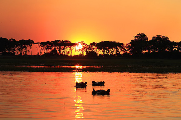 sunset - Kafue National Park