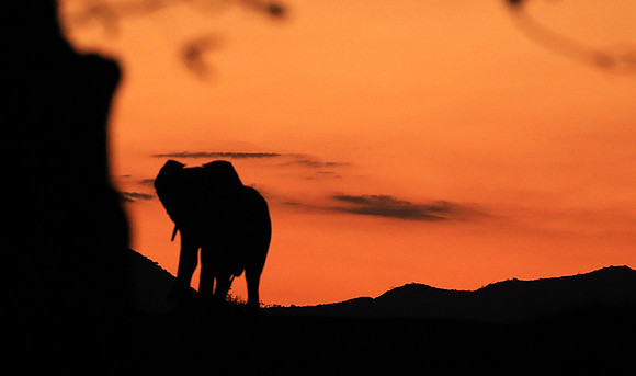 Sunset - Lower Zambezi NP