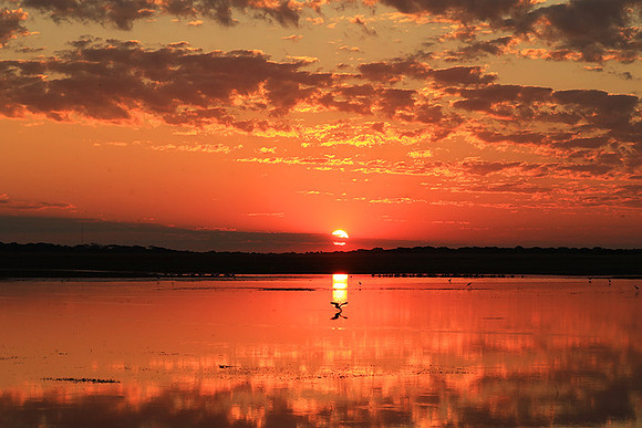 Sunset - Liuwa plain NP