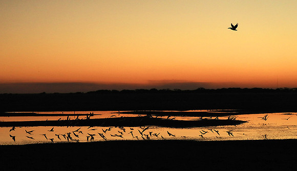Sunset - Liuwa plain NP