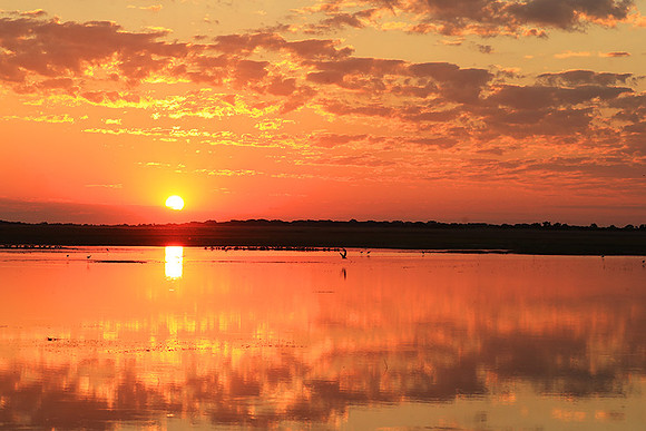 Sunset - Liuwa Plain NP