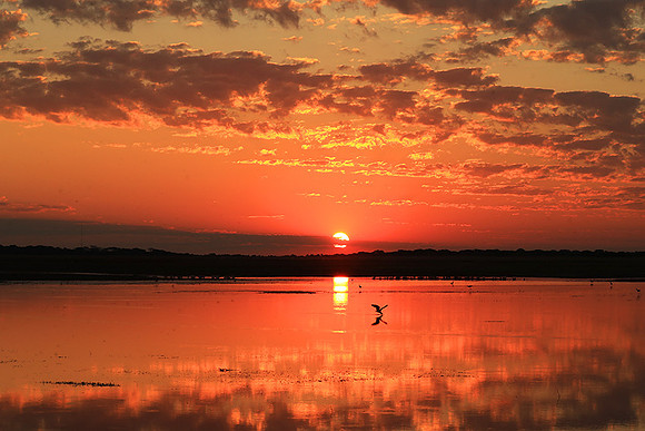 Sunset - Liuwa plain NP