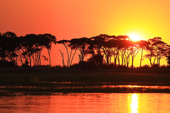 sunset - Kafue National Park