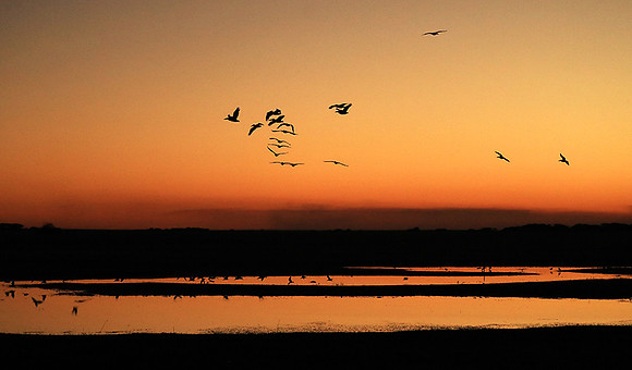 Sunset - Liuwa Plain NP