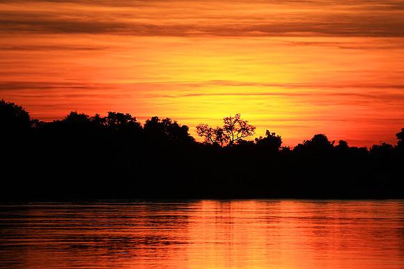 Sunset on Zambezi river