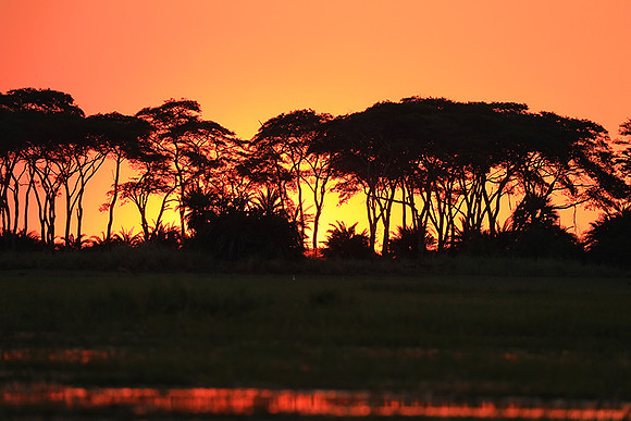 sunset - Kafue National Park