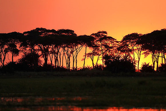 sunset - Kafue National Park