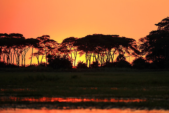 sunset - Kafue National Park
