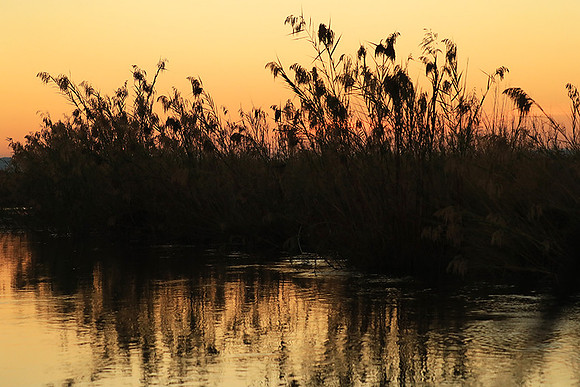 Sunset - Lower Zambezi NP