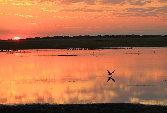 Sunset - Liuwa Plain NP