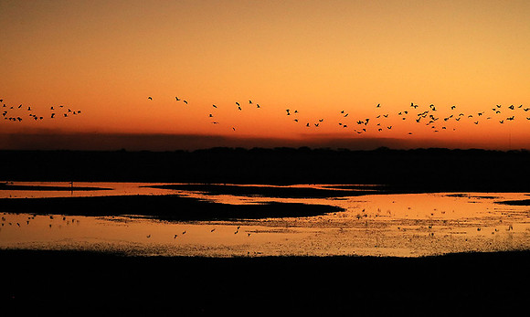 Sunset - Liuwa Plain NP