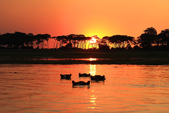sunset - Kafue National Park