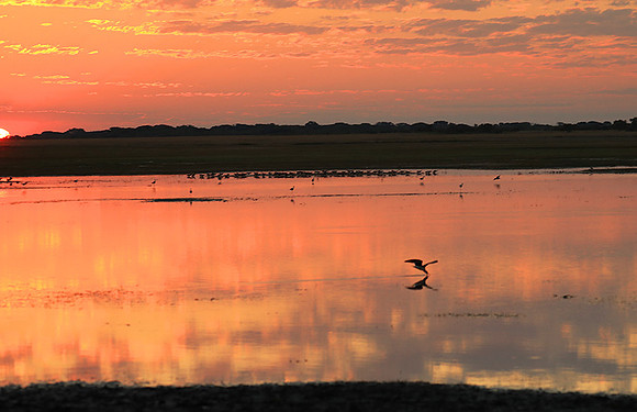 Sunset - Liuwa Plain NP