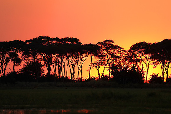 sunset - Kafue National Park