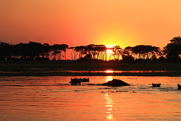 sunset - Kafue National Park