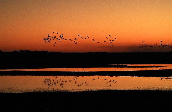 Sunset - Liuwa Plain NP