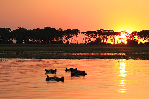 sunset - Kafue National Park