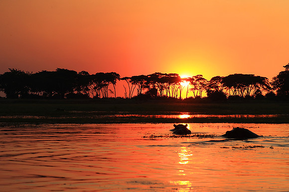 sunset - Kafue National Park