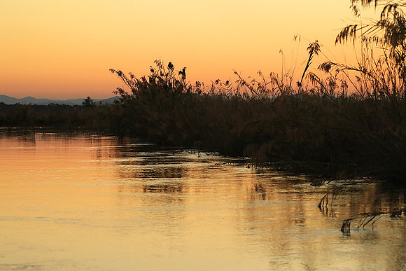 Sunset - Lower Zambezi NP