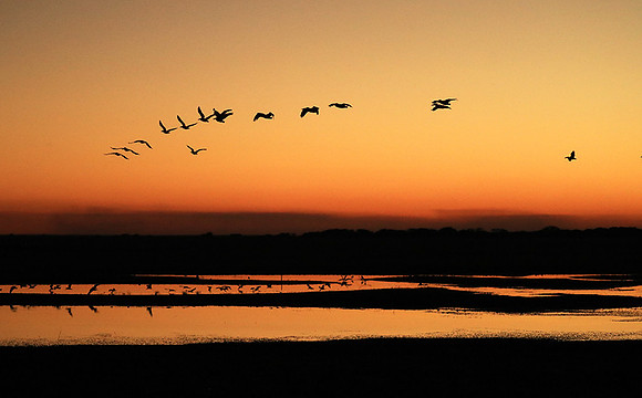 Sunset - Liuwa Plain NP