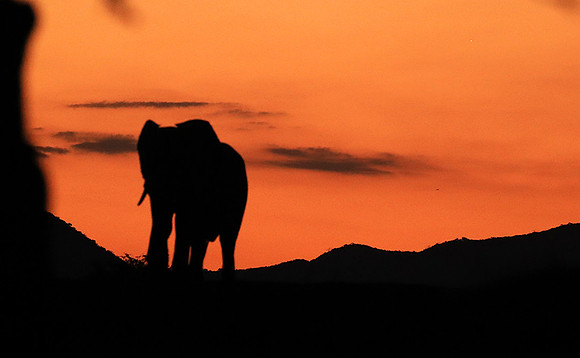 Sunset - Lower Zambezi NP