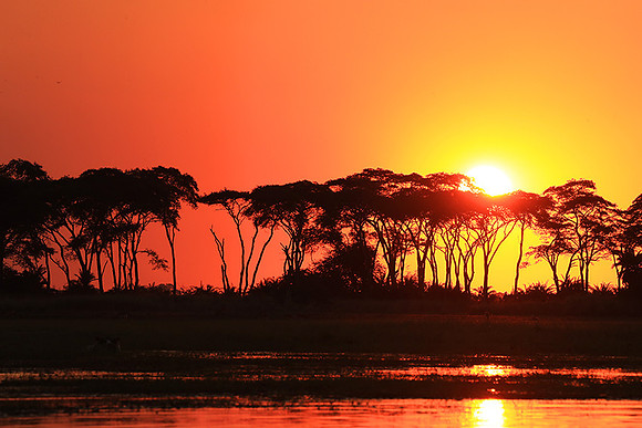 sunset - Kafue National Park