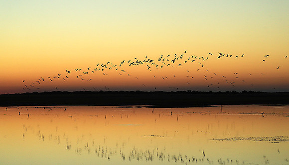 Sunset - Liuwa plain NP