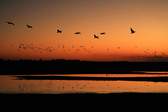 Sunset - Liuwa Plain NP