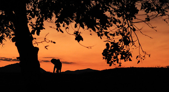 Sunset - Lower Zambezi NP