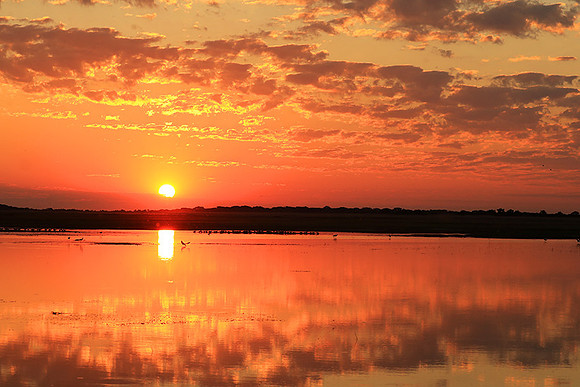Sunset - Liuwa Plain NP